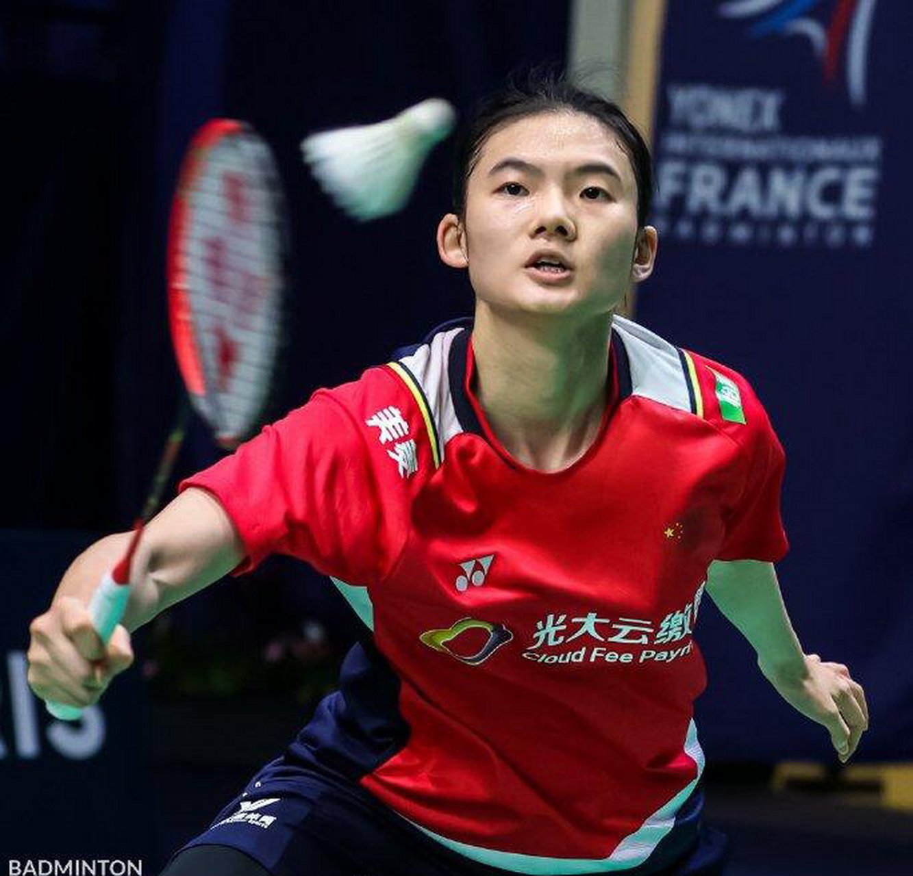 阿拉里裁判 阿拉里裁判